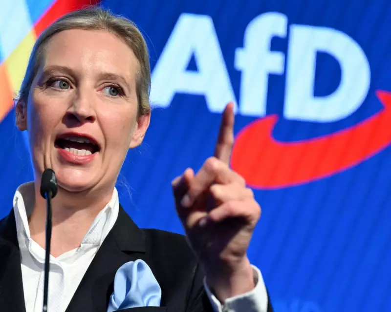 Munich Security Conference invites far-right AfD after JD Vance criticism