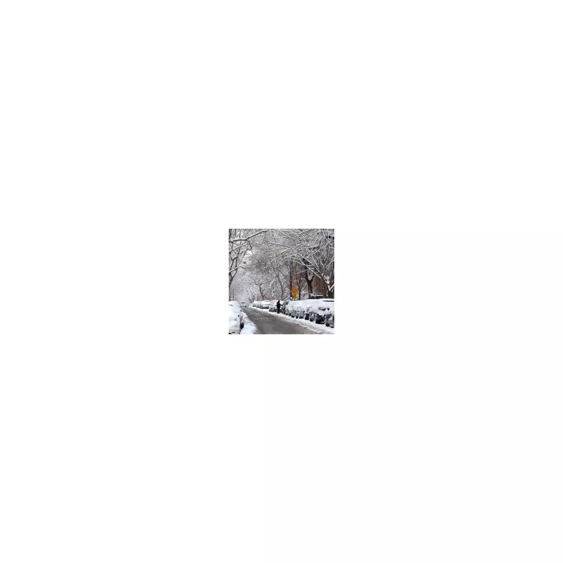 New York Declares State of Emergency as Snowstorm Cancels 14,000 Flights