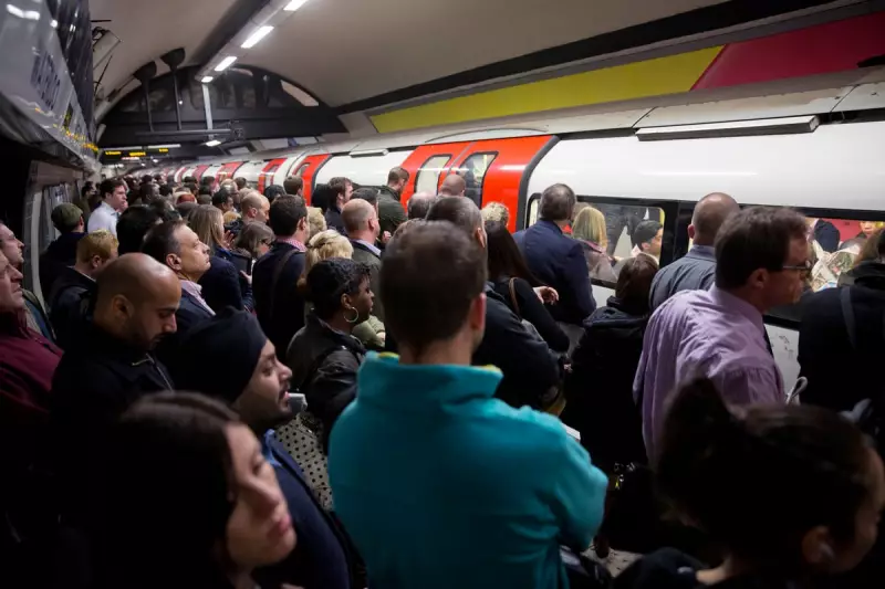 Northern Line: The 52-Stop Lifeline Powering London's Commute
