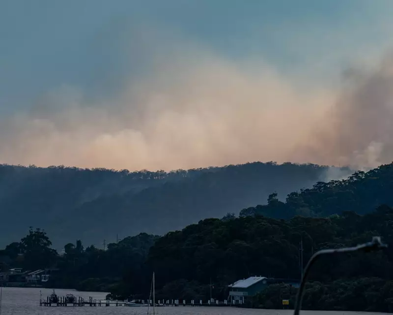 NSW Bushfires Destroy 16 Homes as Government Faces Child Repatriation Row