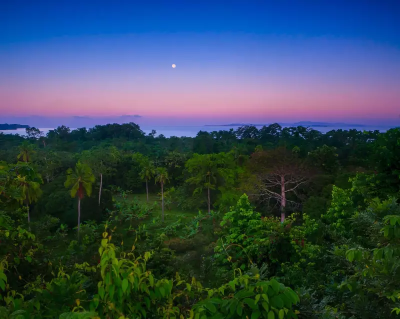 Panama's Darién Gap: How Tech & Teamwork Slashed Deforestation by 88%