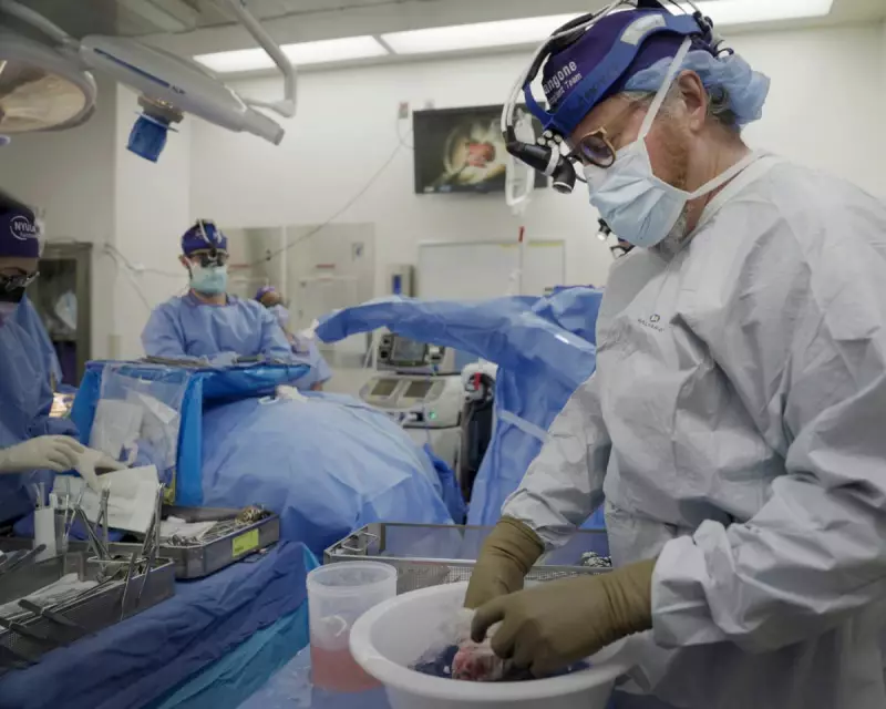 Pig Kidneys Could Outperform Human Organs, Says Transplant Surgeon