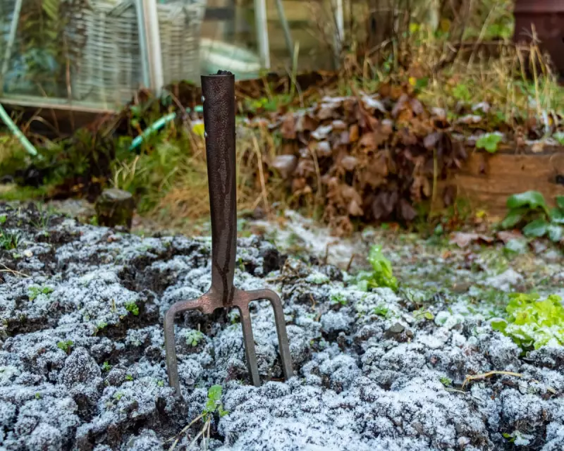 Revitalise Your Garden: The Winter Reshuffle Guide for UK Gardeners
