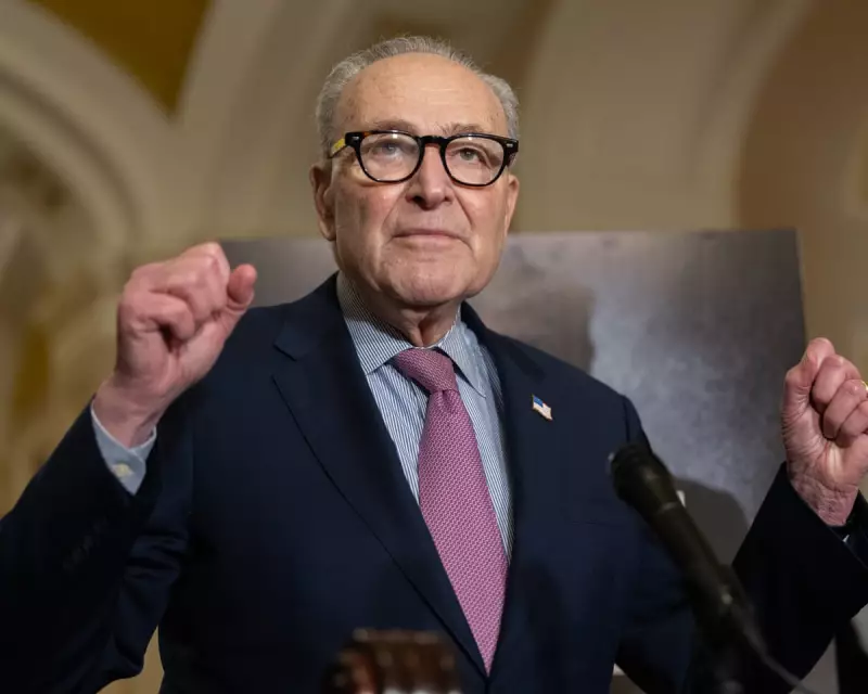 Schumer Forces Senate Legal Action Over Incomplete Epstein Files Release