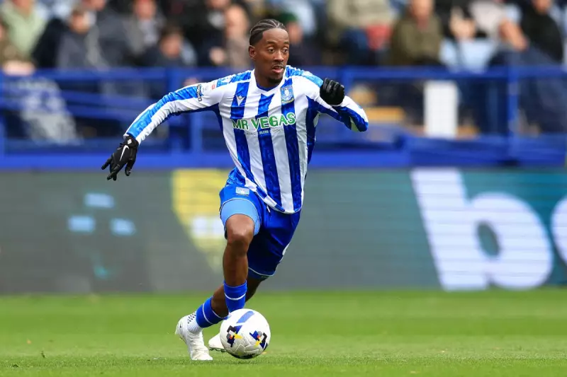 Sheffield Wednesday Bidders May Unite in £30m Takeover Battle