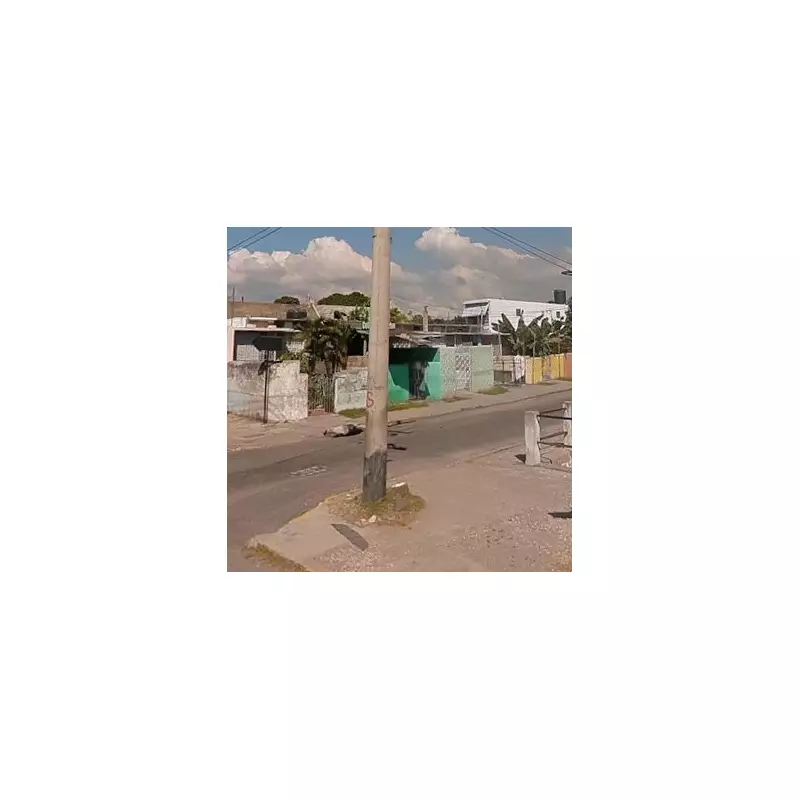 South London teen Romario Scott, 18, shot dead in Jamaica's Trench Town