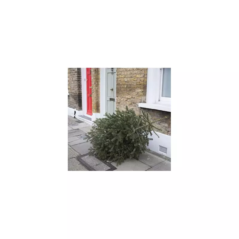 Southwark Festive Bin Collection Changes: Revised Dates & Free Tree Pickup