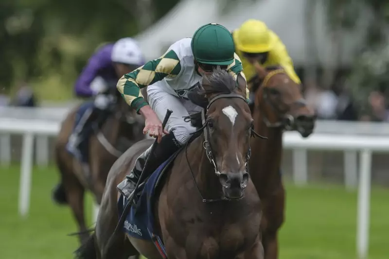 Tattersalls December Mares Sale Smashes Records with £60m Single Day