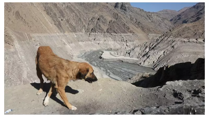 Tehran Faces 'Day Zero' Water Crisis: Evacuation Looms as Reservoirs Hit 8%