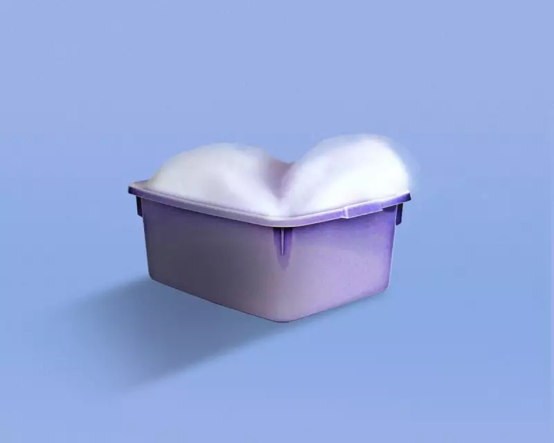 The Great British Washing-Up Bowl Ban: A Kitchen Sink Drama