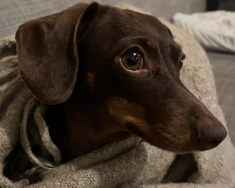 The Guardian's Thursday Quiz: 226th Edition Tests News and Trivia