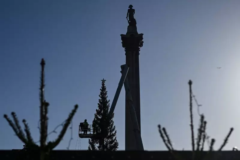 Trafalgar Square Christmas Tree Lights Up Tonight: Full 2025 Timings & Details