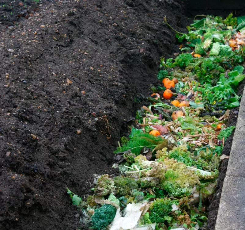 Trench Composting: The Ancient, Low-Effort Method to Enrich Your Garden Soil
