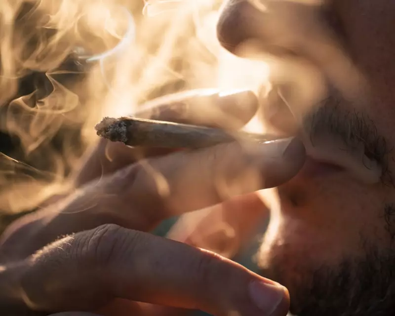 Trump's Cannabis Shift: A Republican-Led Drug Policy Revolution