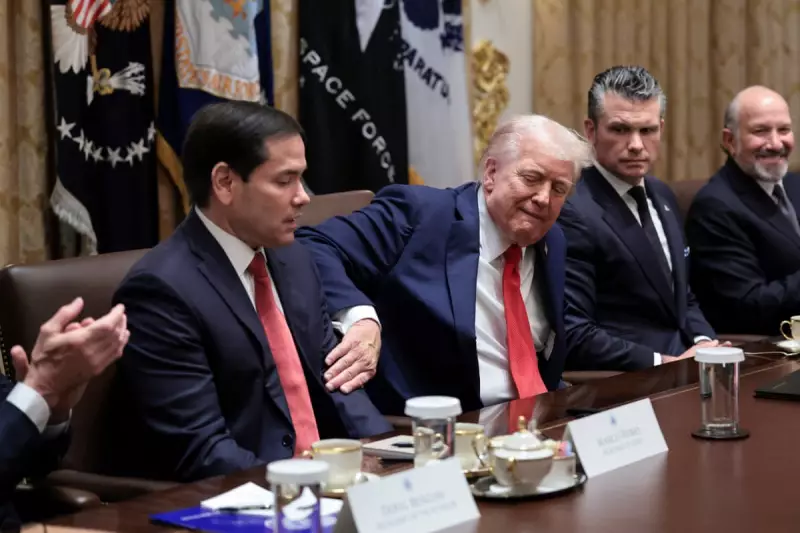 Trump's Second Term: A Cabinet of Loyalists Defies First-Term Chaos