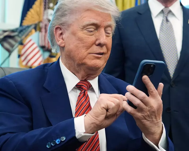 Trump's Wind Turbine Fury Based on Misidentified Israeli Falcon Photo