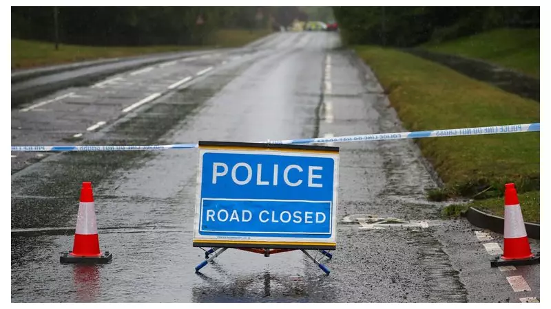 Two Teenagers Killed in Surrey Tesla Crash, Driver Arrested