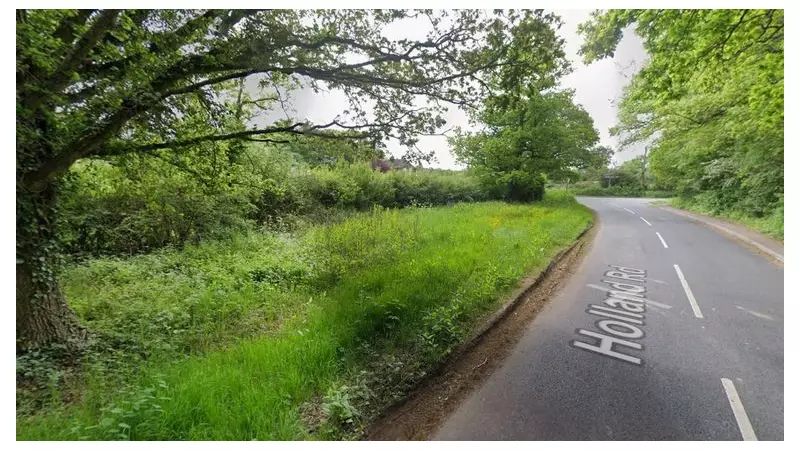Two Teenagers Killed in Surrey Tesla Taxi Crash Named