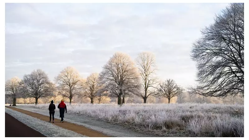 UK Braces for Bitter New Year as Amber Cold Health Alert Issued