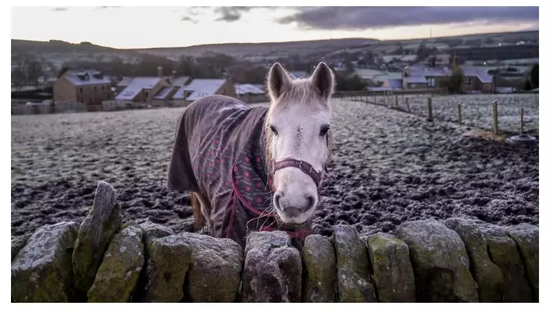 UK Braces for Snowfall: Met Office Issues Yellow Warnings for New Year