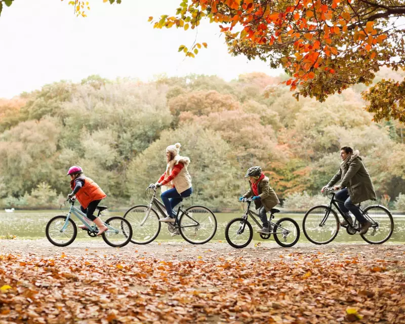 UK Cycling Stalls: Sales Slump as Safety Fears and Political Inertia Hinder Progress