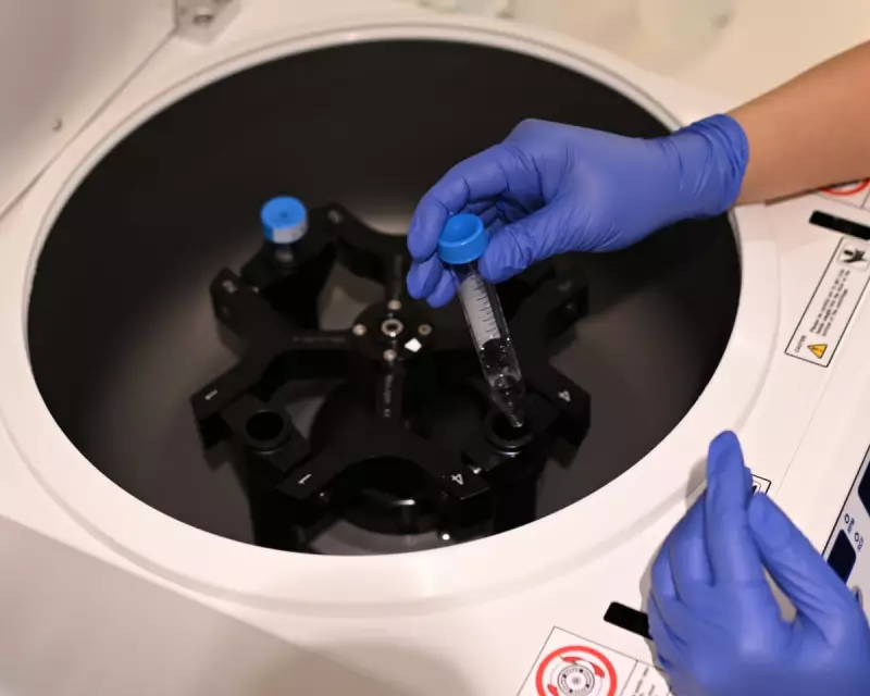 UK IVF couples exploit legal loophole to rank embryos by IQ and health