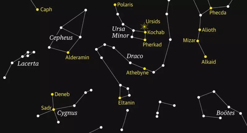 Ursids Meteor Shower Peaks: Your Guide to the Final Celestial Show of 2025