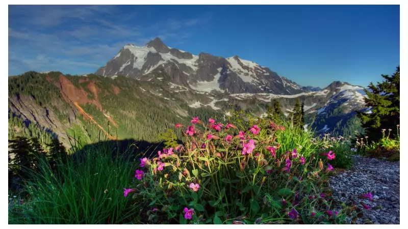 US National Parks Scrap MLK Day Free Entry, Add Trump's Birthday