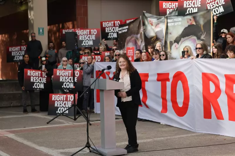 US Student Jailed for 90 Days After 'Rescuing' Chickens from Farm