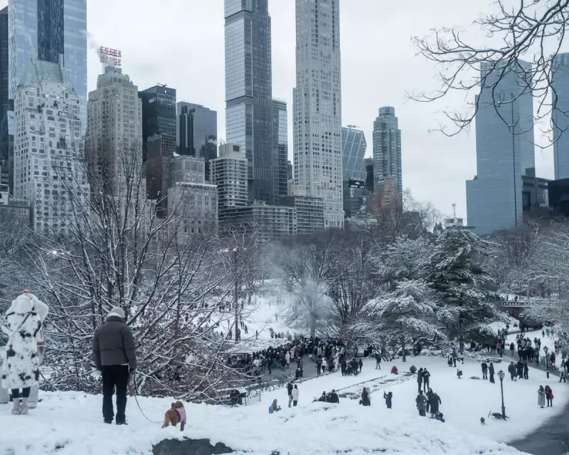 US Winter Storm: Blizzards and 'Blue Norther' to End Record Warmth