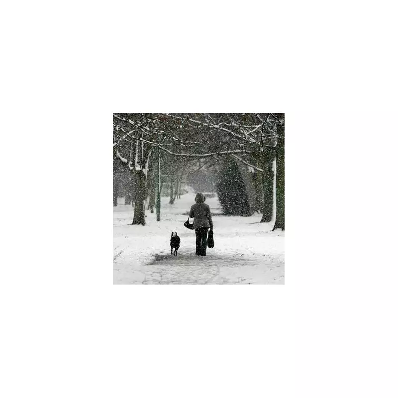 Victoria Park: East London's Boxing Day Stroll With a NYC Vibe