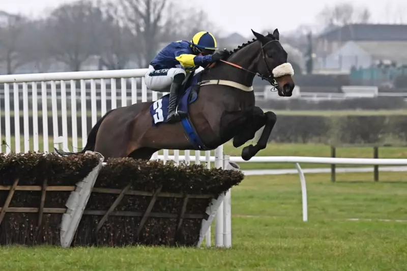 Wendigo's Newbury Triumph: Racing Club's Grade 2 Win Thrills Microshare Owners