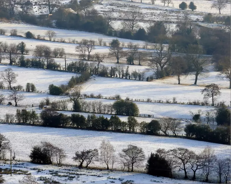 White Christmas 2024: Met Office Predicts Low Chance of 'Noteworthy' Snow