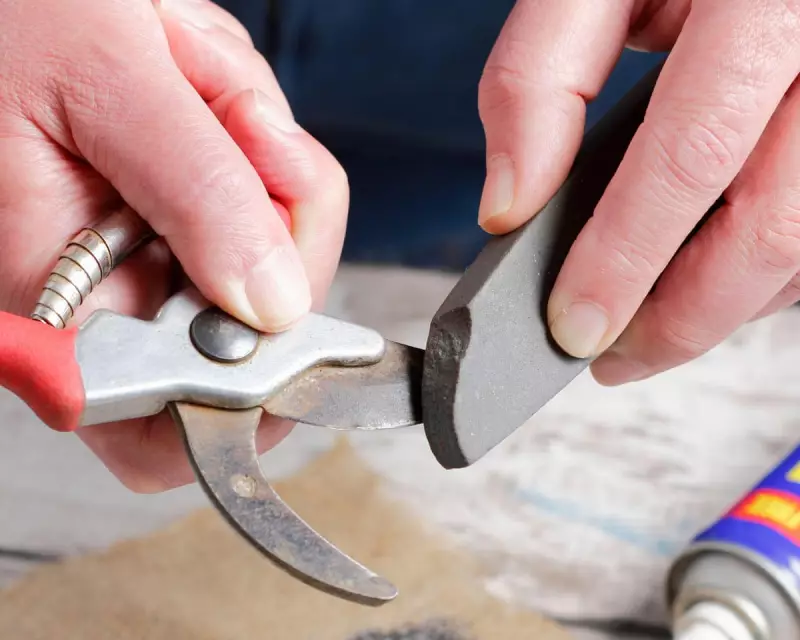 Winter Tool Care: A Gardener's Essential Step-by-Step Guide