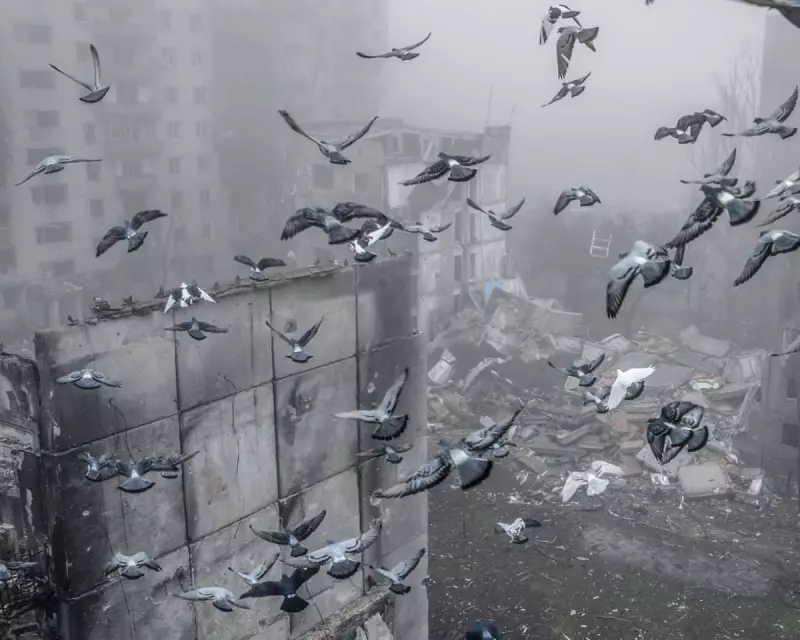 Zelenskyy Meets Macron in Paris Amid US Pressure for Ukraine Peace Talks