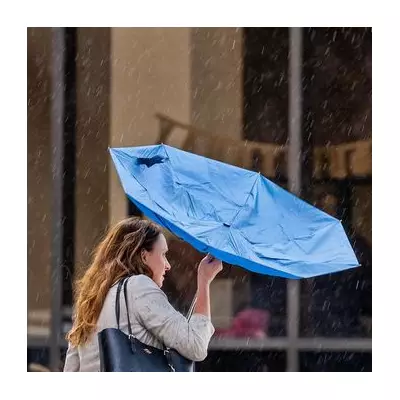 6 Best Windproof Umbrellas on Amazon for UK Weather in 2025