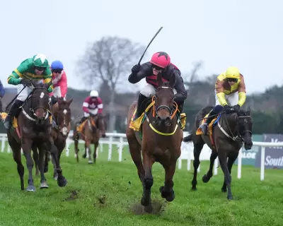 Affordale Fury Stuns Gold Cup Winners in Savills Chase Upset at Leopardstown
