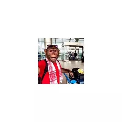 AI 'Brainrot' Videos Earn £90m Yearly on YouTube, Study Reveals