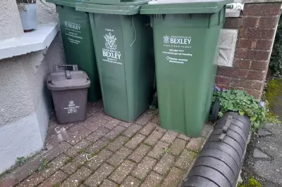 Bexley Festive Bin Collection Changes: Christmas Tree Disposal Guide