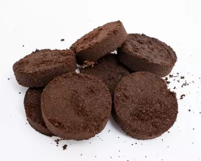 Coffee Grounds for Plants: A Sustainable Hack or a Risky Move?