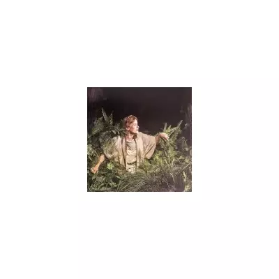 Into the Woods Review: London's Must-See Christmas Show Beats Panto