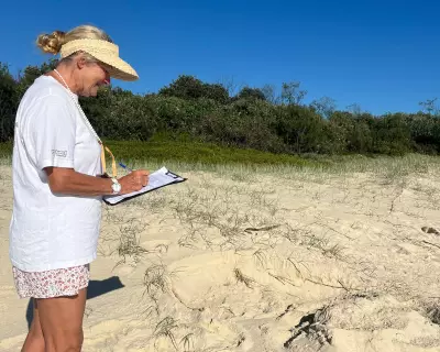 NSW TurtleWatch Calls on Beachgoers to Protect Endangered Nests