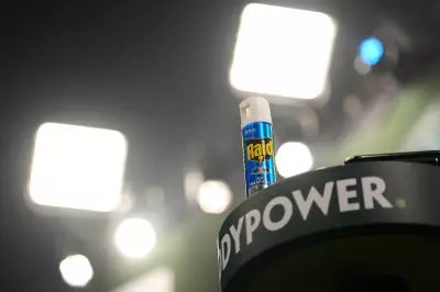 Paddy Power Betfair Hit with £2m Fine for Failing to Protect Gamblers