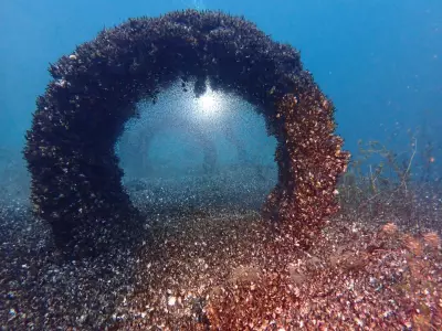 Quagga mussels choke Swiss lake, threaten UK after Northern Ireland discovery