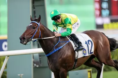 Sky Trust Aims for Sixth Sha Tin Win in 2026 Chinese Club Challenge Cup