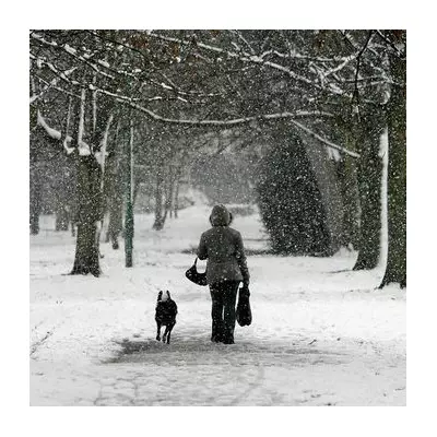 Victoria Park: East London's Boxing Day Stroll With a NYC Vibe