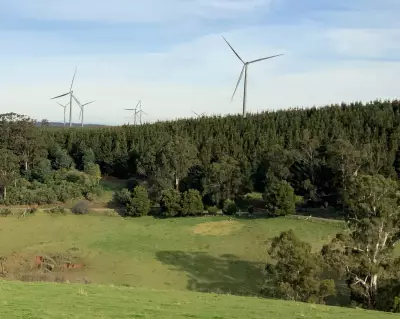 Victoria's First Public Wind Farm Powers Up in Latrobe Valley