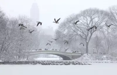 Winter Storm Chaos: 15,000 Flights Hit as New York and New Jersey Declare Emergencies