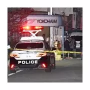 15 Injured in Knife and Bleach Attack at Japanese Tyre Factory