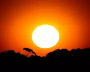 2026 Forecast: Fourth Consecutive Year Over 1.4C as Climate Crisis Deepens